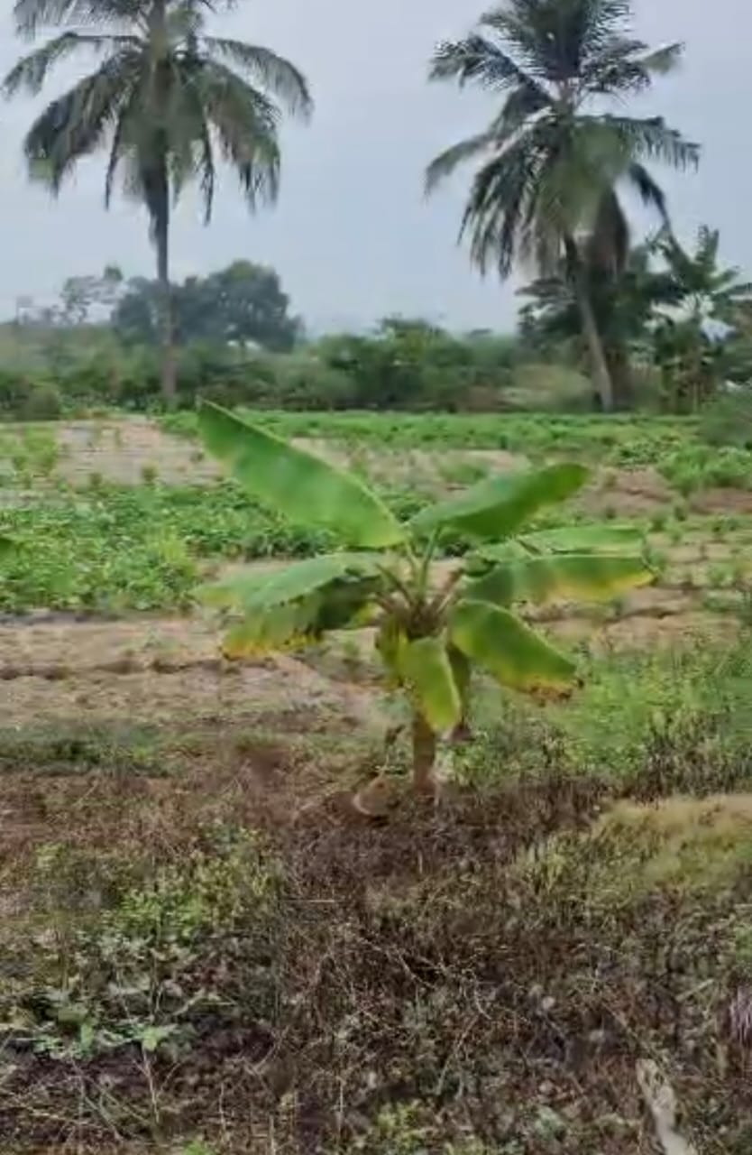 Terrain pied dans l'eau a la Riviera Beach 